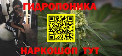 a pvp Кунгур