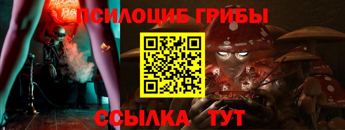 Галлюциногенные грибы Psilocybine cubensis Всеволожск